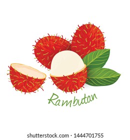 Rambutan Fruit Doodle Drawings Vector Illustration Stock Vector ...