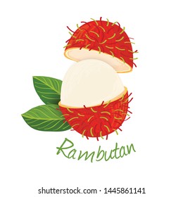 rambutan drawing