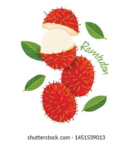 702 Rambutan sketch Images, Stock Photos & Vectors | Shutterstock