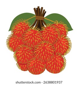 rambutan fruit vector icon.Cartoon vector icon isolated on white background