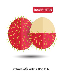 Rambutan, fruit vector illustration