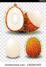 Rambutan Fruit Vector. a realistic style. Isolated objects on background. - Vector - Vector