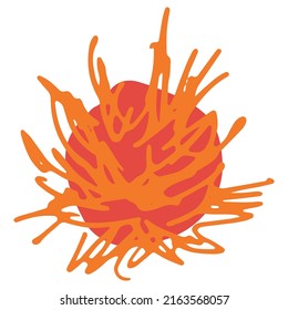 rambutan hand drawn illustration vector