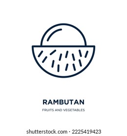 rambutan icon from fruits and vegetables collection. Thin linear rambutan, kiwi, banana outline icon isolated on white background. Line vector rambutan sign, symbol for web and mobile