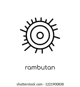 rambutan icon. Trendy modern flat linear vector rambutan icon on white background from thin line Fruit and vegetables collection, outline vector illustration