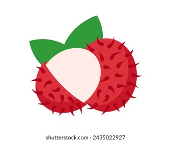 rambutan illustration for coloring book template, rambutan for kids worksheet printable