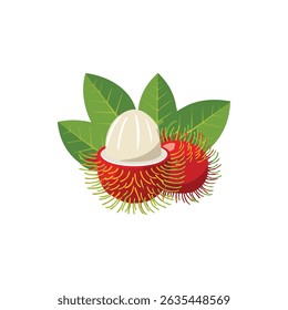 Rambutan Illustration Whole and Cut, Tropical Fruit Graphic with Red Hairy Skin.