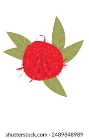 Rambutan con hojas sobre un fondo blanco