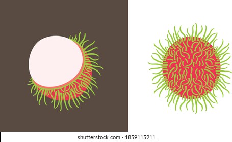 Rambutan logo. Isolated rambutan on white background