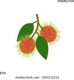 Rambutan logo. Isolated rambutan on white background