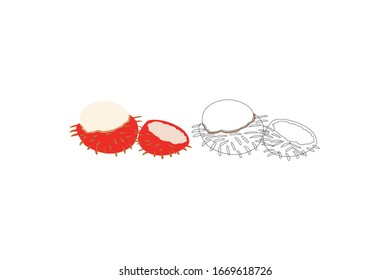 Rambutan Object Vector Fruit Illustration Bundle