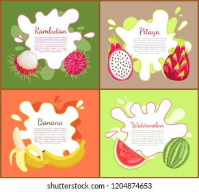 Rambutan and pitaya, posters set with text sample. Watermelon with seeds and vitamins, ripe banana, tasty tropical and exotic fruits with info vector
