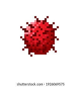 Rambutan pixel art. Vector illustration.