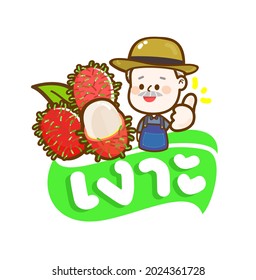 Fruta tailandesa Rambutan en idioma tailandés que significa "Rambutan" 