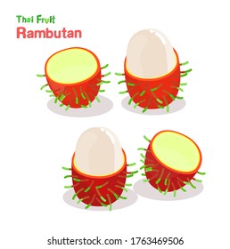 Rambutan Thai Fruit on White Background Vector