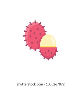 Rambutan Thai Fruit on White Background Vector