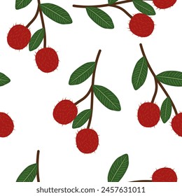 Fondo de patrón sin fisuras de fruta tropical Rambutan