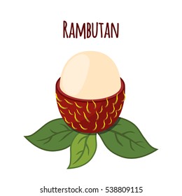 Rambutan tropical fruit. Exotic vitamin nutrition. Juicy ripe fruit in flat vector style. Natural organic rambutan.