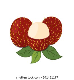 Rambutan tropical fruit. Exotic vitamin nutrition. Juicy ripe fruit in flat vector style. Natural organic rambutan.
