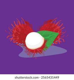 rambutan tropical fruit flat design