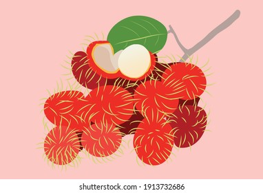 Rambutan Tropical Fruit Vector Illustration