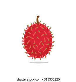 Rambutan vector cartoon