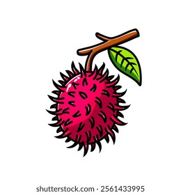 rambutan vector design illustration, rambutan icon, rambutan logo, rambutan fruit, very good as a sticker.