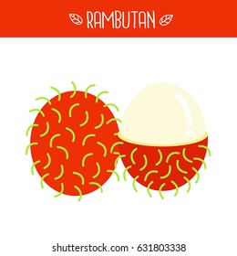 Rambutan Vector illustration.
