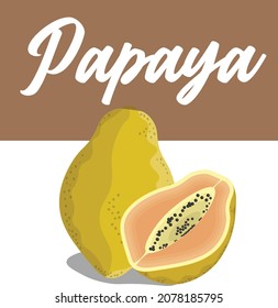 ilustración vectorial de rambutan con sección , hermoso diseño de fondo cuadrado
