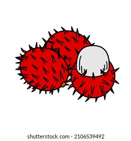 Rambutan vector isolated on a white background, flat, cartoon style. For web and children book etc