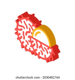 rambutans fruit isometric icon vector. rambutans fruit sign. isolated symbol illustration