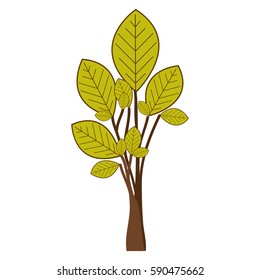 ramifications with green leaves plant icon vector illustration