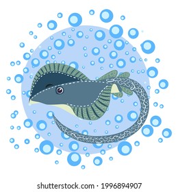 Ramp fish head magnified sea animal wildlife character. Nature underwater ramp skate marine wild ocean zoo electric fish.