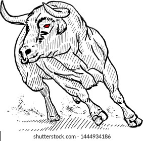 A rampaging bull. Hand drawn vector illustration. 