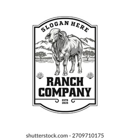 Ranch brahman vaca diseño de logotipo