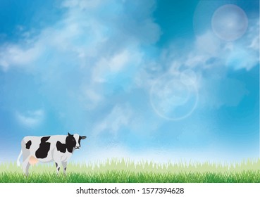 Ranch with green grass and blue sky