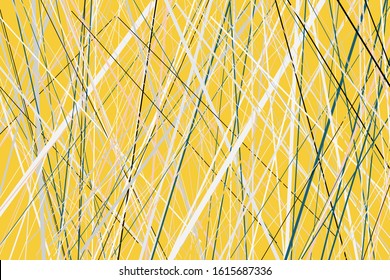 Random Chaotic Lines Abstract Geometric Pattern or Texture