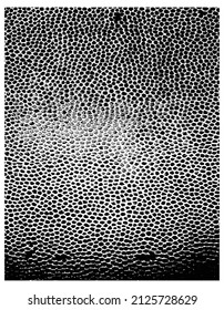 Random Close Dots Pattern Vector Graphic Resource