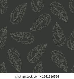 Siluetas aleatorias de hojas de contorno oscuro sin fisuras. Los elementos botánicos de color gris sobre fondo pálido negro. Diseñado para el diseño de tejidos, impresión textil, envoltura, cubierta. Ilustración vectorial.