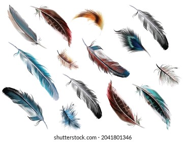 random designs of various colors of bird feathers for children's books or textile printing