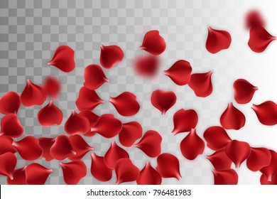 Random falling petals. Isolated greeting frame. Red rose petal transparent background. Vector wedding illustration. Valentines Day greeting card. Valentine's floral poster. Valentine symbol.