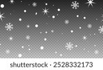 Random falling snow flakes on a transparent background. Snowfall dust freezes the granules. Snowy landscapes of nature, It