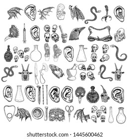 Random hand drawing set. Human ear, vampire wing, bird leg, scissors, bottle with potion, nail, mortar, pestle, crow head, snake, goat, syringe, skulls, mask, stone banner, dead bird, pregnancy vector