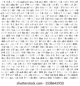 Random Hex and binary code, Isolated on white for you web, internet data background