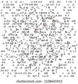 Random Hex and binary code, Isolated on white for you web, internet data background