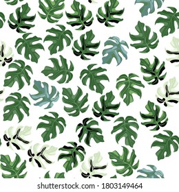 Random isolated seamless monstera leaf pattern. Little green botanic ornament on white background. Designed for wallpaper, textile, wrapping paper, fabric print. Vector illustration.