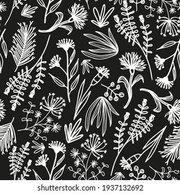 Random Placed Doodled Vector Plants, Botanical Seamless Pattern With Black Background.