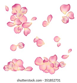 Random rose petals against white background. Great for presentations, forms and ad print.