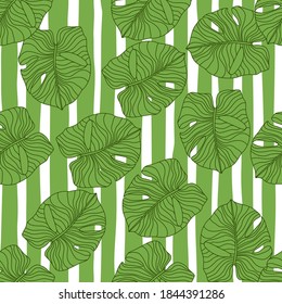 Random seamless botanic pattern with green outline monstera leaves silhouettes. White and green striped background. Backdrop for fabric design, textile print, wrapping, cover. Vector illustration