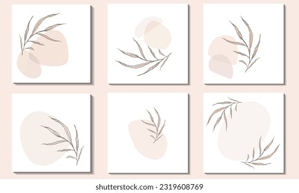 Random spots of delicate pastel beige and pale brown. A set square backgrounds. Graceful twigs with leaves. Modern illustrations with abstract shapes in trendy beige tones. 